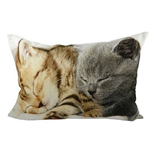 Mars & More - Kissen - Zierkissen - Dekokissen - Katzen - Kärzchen - inklusive Füllung - 100 % Baumwolle 50 x 50 cm