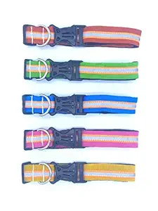 ZEROXIDE Reflective Dog Collars, Pack of 5, Multicolor - Assorted (ORT-TN-5)