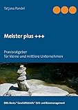 Meister plus +++: Praxisratgeber für kleine und mittlere Unternehmen by