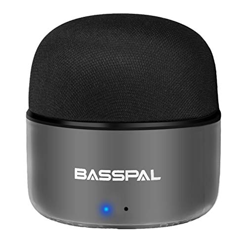 Altavoces Bluetooth Portátiles, BassPal Pequeños Altavoces Inalámbrico con Radios, IPX5 Impermeable, HD Estéreo Sonido y Bajos Mejorados, Mini Bolsillo para Viajar a Casa al Aire Libre - 1 Pack