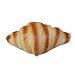 MagiDeal Artificial Realistic Conch Shape Bread Food Imitation Kitchen Pretend Decor