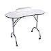 ZJchao Manicure Table Nail Technician Workstation Art Desk with Drawer + Carry Bag + Wrist Rest (White)