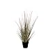 Produktbild Mica decorations 1005560 Dogtail Gras Violett in Plastik Topf D10cm - H53cm Kunstpflanze, PVC, 40 x 40 x 53 cm