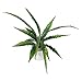 Produktbild Asplenium Streifenfarn Kunstpflanze 60 cm