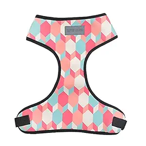 Mutt of Course Candy Barrr Dog Harness (Medium)