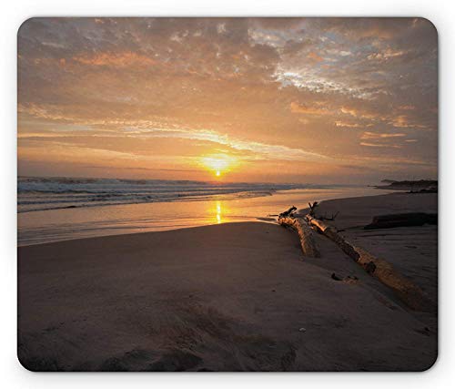 Preisvergleich Produktbild Treibholz-Mausunterlage, goldene Farbsonnenaufgänge über einem entfernten Horizont Sandy Beach und Treibholz, Standardgrößen-Rechteck-rutschfestes Gummimousepad, Ringelblume und Taupe,Gummimatte 11,8