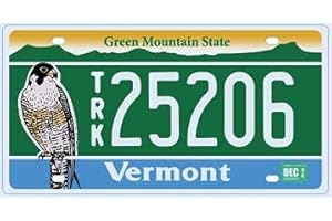 OPO 10 - Targa Auto USA - 30x15 cm Replica in Metallo: Vermont (C45)