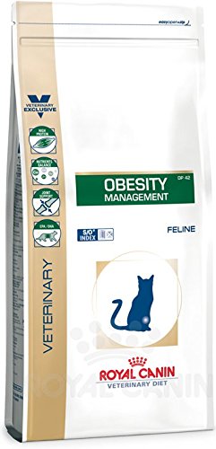 détail Royal Canin Obesity Management DP 42 Nourriture pour Chat 6 kg