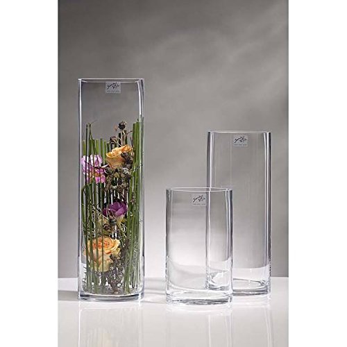 Glasvase CYLI Glas Vase Tischvase Blumenvase Zylinder 20 cm - 2