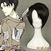 Price comparison product image Tqglobal Corporal Levi Rivaille Attack On Titan Dark Brown Short Hair 35CM / 13.77Inch Wig