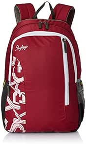 skybags under 300