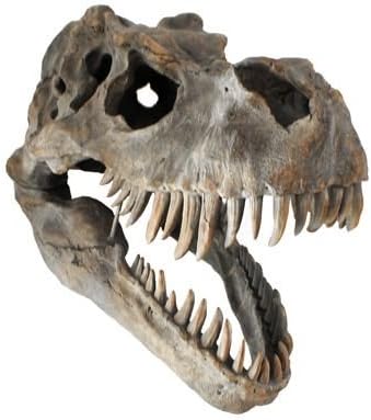 Extra Large T-Rex Skull Wall Head Trophy Art ( 37x30x52cm)