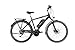 Produktbild FISCHER E-Bike TREKKING Herren ETH 1820, Anthrazit, 28", RH 50 cm, Mittelmotor 48 V/ 422 Wh