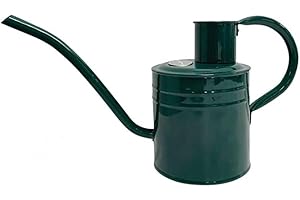 Kent & Stowe Arrosoir d'intérieur en Acier galvanisé résistant à la Rouille avec poignée et Long Bec verseur, 1 l, Vert forêt, Outils de Jardin Classiques Tout au Long de l'année