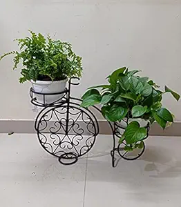 CAPPL Bicycle Shape Stand