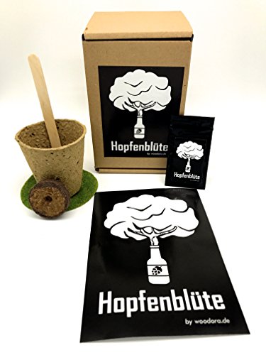 HOPFENBLÜTE Männergeschenk - Woodora Hopfen Samen Anzuchtset - Geschenk für Bierliebhaber - witziges Geburtstagsgeschenk
