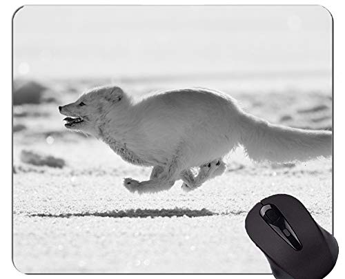 Preisvergleich Produktbild Mauspads, Gaming-Mauspad, Wildlife Arctic Fox - Genähte Kanten