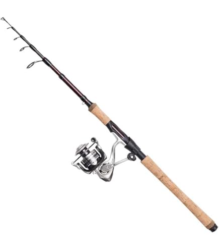 DAM Impressa Classic Spinning Combo, zoetwater hengel reel snoekbaars snoekbaars, sterk lichtgewicht veelzijdig, zwart, 2.10m matig snelle hengel, 2500 maat reel