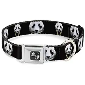 Buckle-Down Seatbelt Buckle Dog Collar - Panda w/Gold Chain Black - 1