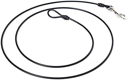 Chew-Proof Training Tie Down - Tether Restraint for Dogs &amp; Teething Puppies (6 ft/ 1.8 m)