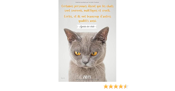 Amazon Fr Agenda Des Chats 2019 Certaines Personnes Disent Que Les Chats Sont Sournois Malefiques Et Cruels Certes Et Ils Ont Beaucoup D Autres Qualites Agenda Chats Avec Citations Sur Les Chats