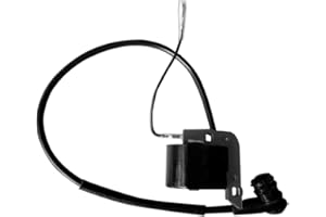 Realman Módulo de bobina de encendido BL77-M88-V75SD para pulverizador M3VPSA del ventilador de niebla de Cifarelli C7 77CC Nuvola 5HP