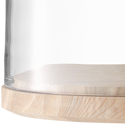 LSA Lotta Käseglocke mit Tablett aus Eschenholz, 25,5 cm - 4