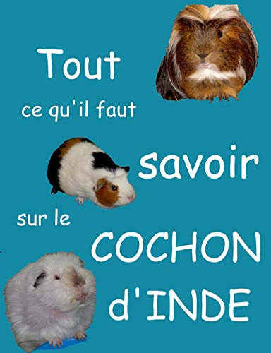 Télécharger Tout ce qu'il faut savoir sur le cochon d'Inde PDF Ebook En Ligne