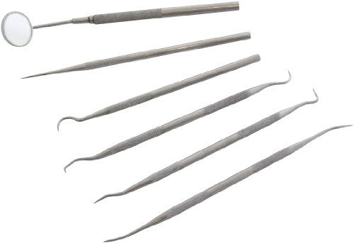 Am-Tech 6 Stück Dental Set, R0350