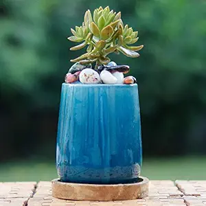 Lasaki Odin Ceramic Pots with Plate Wooden for for Indoor Plants Planters Flower pots Gamla Table Top Outdoor Succulent Cactus Plant Pot Container Planter(Color: Blue Lt 405 , wp5 )