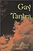 Gay Tantra by