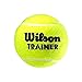 Produktbild Wilson Trainer 48er Tennisbälle