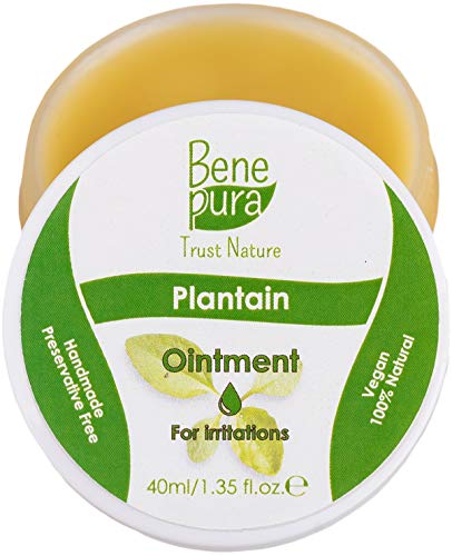 Pommade Naturelle Plantain 40 ml - Forte Action Antifongique et Antibactérienne - Concentré pur de la Nature - Pour le Soulagement des Piqûres D'insectes - Avec des Huiles Essentielles