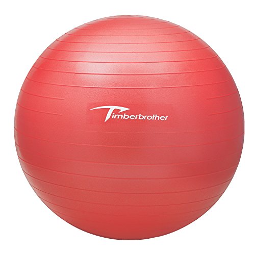 Timberbrother Anti-Burst Gymnastikball / Swiss Ball 65 cm Durchmesser mit Pumpe f¨¹r Yoga, Pilates, Fitness, Physiotherapie, Fitnessstudio und Home Exercise - 2