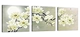 CUFUN Art Toile murale avec cadre en bois Motif fleurs blanches, prête à accrocher, idéale pour le salon ou la chambre, décorations murales, White Magnolia, 30*30cm*3pcs