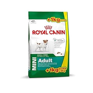ROYAL CANIN Perros Forro Mini Adult, 8 + 1 kg Gratis, 1er Pack (1 x 9 kg)