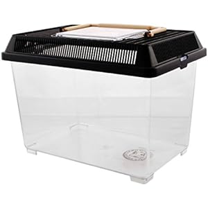 PET PLAZA Kunststoffbox - Faunarium Small - 23x15x16cm - ca. 3,3L Inhalts Volumen