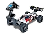 6S Brushless-System mit Überlastschutz, T-Plug-Stecksystem