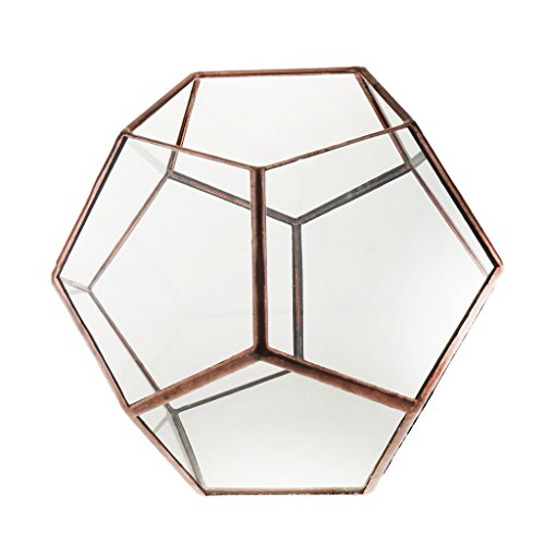 Mini Glas Terrarium Geometrisches Glas Sukkulente Pflanzen Pflanzgefäß Deko – 15 x 15 x 15cm - 6