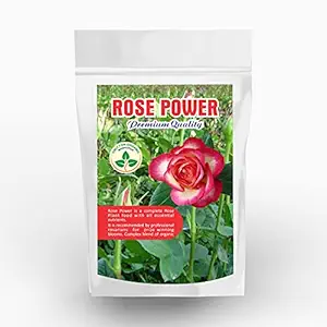 Only For Organic Rose Power, 900 gms - Best For Flowering Plants