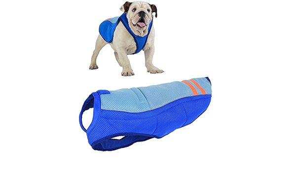 dog cooling vest amazon