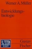 Image de Entwicklungsbiologie