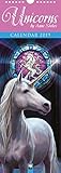 Unicorns by Anne Stokes - Einhörner 2019 (Slimline-Kalender) by 