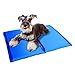 Produktbild LIOOBO 2 STÜCKE Sommer Kühlmatten Faltbare Pet Mats Hunde Katzen Kühlkissen Schlafmatte - 40 x 30 cm (Blau)