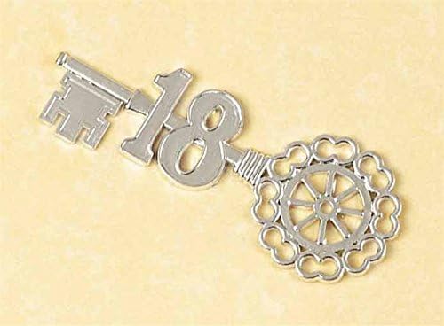 plastic silver key 18 x1