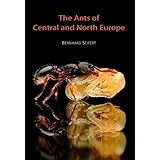 The Ants of Central and North Europe