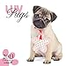 Luv Pugs 2013 - Möpse - Original BrownTrout-Kalender - Myrna by 