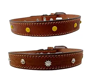 Forever99 Pet Shop Studded Leather Dog Collar Neck Belt for All Stage Breeds Extra Extra Large 24 to 28 inch Neck for fit Combo Pack 2 Art#-120