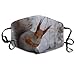 Produktbild Masken, Masken für Erwachsene, Unisex Unique Mouth Mask, Squirrel Reuseable Polyester Face Mouth Mask Respirator Cycling Anti Dust Unisex Men Women Boys