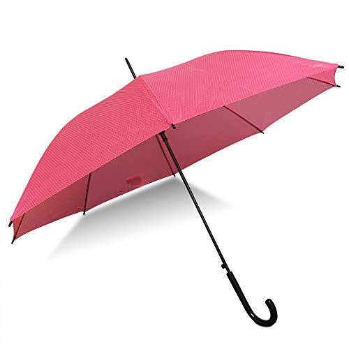 ITP International - Clásico Rosa Rosa